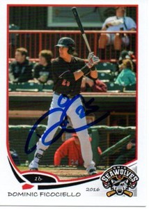 Dominic Ficociello 2016 Erie SeaWolves Signed Card