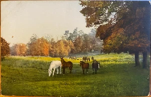 Postal del Reino Unido FARMERS FRIENDS Caballos Campo Inglés Inglaterra DNO Fotocromía - Imagen 1 de 2