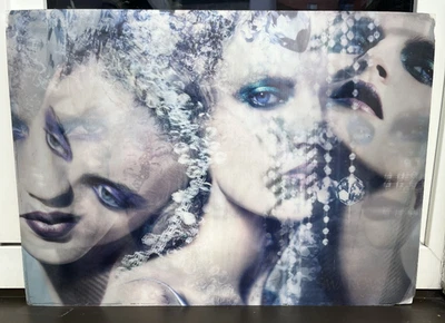 Hologramm Bild Display 70x50 cm Wandbild Holografie Deko Poster Verkaufsdisplay - Bild 1 von 4