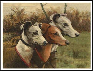 WHIPPET THREE DOGS LOVELY VINTAGE STYLE DOG ART PRINT POSTER - Picture 1 of 1