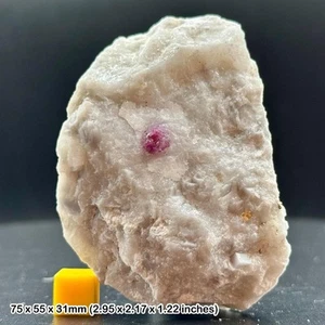 Grade a ruby on matrix with uv reactive fluorescence & pyrite, hunza valley, - Picture 1 of 2