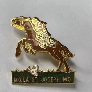 Moila St. Joseph Montana Cowboy Shriner Masonic Freemason Vintage Pin #40 - Picture 1 of 2