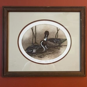 Dianne Krumel Original "Pintails" Ducks Signed Numbered Etching 4/500 18" x 15" - Picture 1 of 18