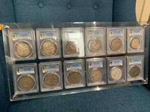 12 Grid Crystal Acrylic Display Frame Show Case Storage Box For PCGS/ICG Holder - Picture 1 of 2