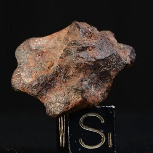 Météorite NWA 15738 de 15,19 g - Pallasite individuelle  - Imagen 1 de 11