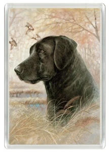 LABRADOR RETRIEVER HUNDEKOPF STUDIE KUNSTDRUCK NEUHEIT KÜHLSCHRANKMAGNET TOLLES GESCHENK - Bild 1 von 1