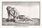 Gladiator Antike Altertum antiquity sculpture Kupferstich engraving 1780
