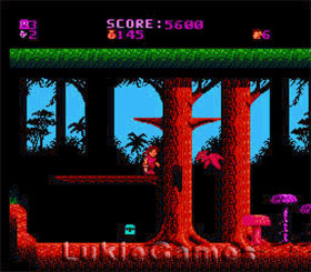 Fox's Peter Pan And The Pirates - NES Nintendo Game