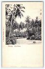 c1905 Ansicht von Etam Penang Malaysia, Palmen postiert antike Postkarte