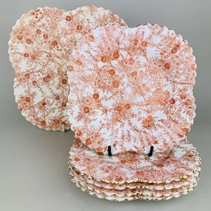 Set of Six Antique Wileman Foley Pre-Shelley Jungle Orange Plates 4147 c1880’s - Picture 1 of 18