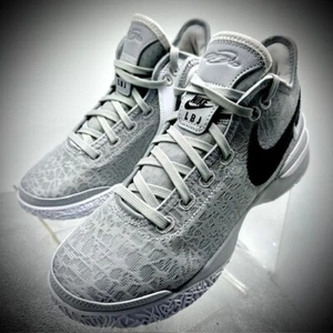 Nike Zoom LeBron NXXT Gen TB Wolf Grey Basketball FN7092-001 Mens Sze 6.5 Wmns 8 - Picture 1 of 6