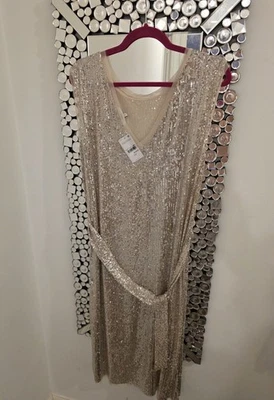 Sequin Dress Sparkle Maxi Next UK 14 New With Tags - Image 1 of 4