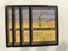 MTG 4X CHINESE VISIONS KAROO MINT MAGIC THE GATHERING LAND UNCOMMON WHITE ASIAN