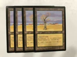 MTG 4X CHINESE VISIONS KAROO MINT MAGIC THE GATHERING LAND UNCOMMON WHITE ASIAN - Picture 1 of 6