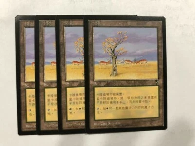 MTG 4X CHINESE VISIONS KAROO MINT MAGIC THE GATHERING LAND UNCOMMON WHITE ASIAN - Image 1 of 4