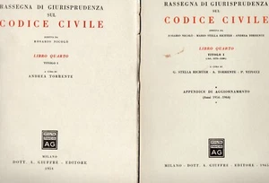 RASSEGNA DI GIURISPRUDENZA SUL CODICE CIVILE LIBRO 4°+APPENDICE 1954-1965 (YA99) - Imagen 1 de 1