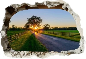 Calcomanía póster de pared Nature Sunset Road árboles verdes 3D mural dormitorio Z296 - Imagen 1 de 1