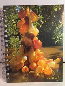 Diario de vidrio artístico Chihuly, nuevo, sellado, prensa Portland - Imagen 1 de 3