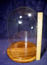 glass dome doll display case