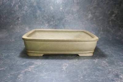 Olla Bonsai Japonesa Genuina "Shibakatsu" de Tokoname. Foto 1 de 4