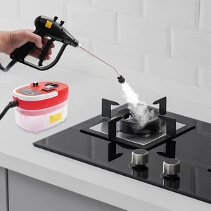 Intelligent Steam Cleaning Machine With Independent Spray Gun 6-gear Adjustable - Bild 1 von 17