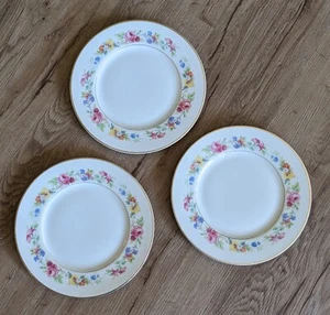 9.75" Syracuse China Cliftondale Old ivory Multicolor Flower Dinner Plates Qty 3 - Picture 1 of 9