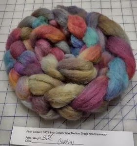 Handpainted Galway Irish Wool Combed Top Roving Spinning Felting Rare Carran - Picture 1 of 2