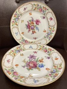 Set of 2 Antique Schumann DRESDEN ART Dinner Plates 9 3/4" Bavaria - Picture 1 of 5