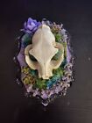 pastel goth cat skull plaque (hand made, home decor) with flowers