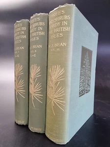 1929 TREES AND SHRUBS British Isles ILLUSTRATIONS Hardy PHOTOGRAPHS Plates - Picture 1 of 11