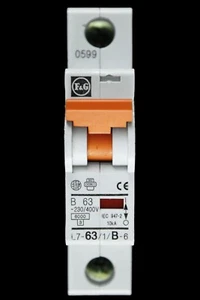 DISYUNTOR CIRCUITO MCB MCB F&G 63 amp curve b 6 kA L7-63/1/b-6 - Imagen 1 de 6