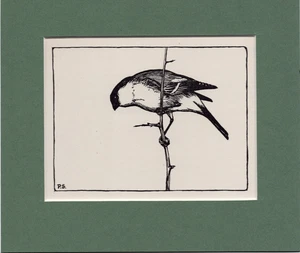 Peter Scott ~ BULLFINCH ~ Black and White Print ~ Original 1936 - Bild 1 von 2
