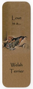 WELSH TERRIER DOG BEAUTIFUL DOG BOOKMARK SAME IMAGE BOTH SIDES GREAT GIFT - Bild 1 von 1