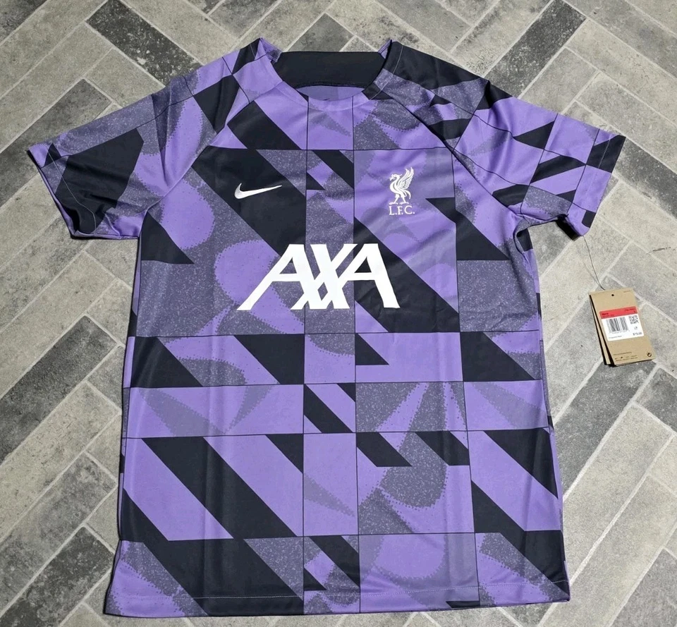 NIKE Liverpool FC Academy Pro Third Dri Fit Jersey Purple DZ1341-554 Size L