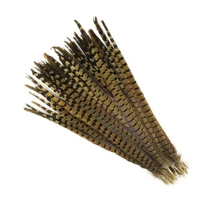 ENGLISH RINGNECK PHEASANT Natural Feathers 16-18" Halloween/Hats/Costume/Bridal - Picture 1 of 3