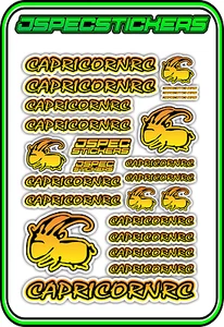 CAPRICORN RC STICKER A5 LAB 1/8 F1 1/10 TESLA ELECTRIC NITRO CAR HARD YEL ORA B - Picture 1 of 9