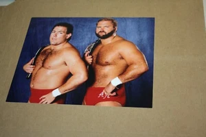 WWE TULLY BLANCHARD ARN ANDERSON UNSIGNED 8X10 PHOTO FOUR HORSEMEN BRAINBUSTERS - Picture 1 of 1