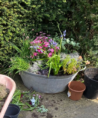 COUNTRY HOUSE SALE Large Antique Vintage Galvanised Wash Tub,Bowl,Pot,Planter Cover