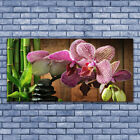 Acrylglasbilder Wandbilder Druck 140x70 Blumen Bambus Steine Pflanzen