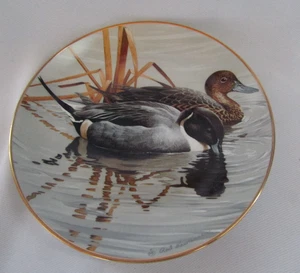 HAMILTON COLLECTOR`S PLATE AMERICAN WATERBIRDS PINTAILS - Picture 1 of 3
