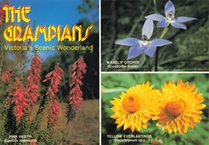 Postcard Grampians Wildflowers 3 Views Victoria - Bild 1 von 2