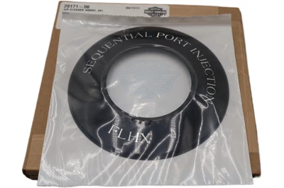 29171-06 Nuevo OEM 2006 HARLEY-DAVIDSON FLHX Street Glide filtro de aire inserto de moldura Foto 1 de 4