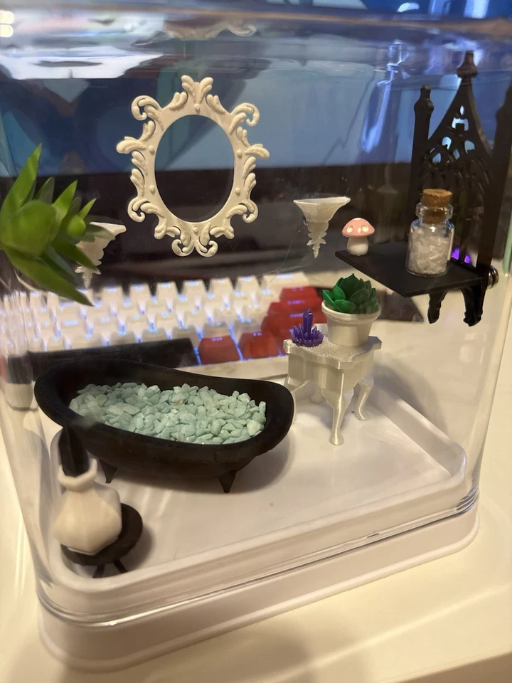 Gabinete de aranha saltadora - Imagem 1 de 1