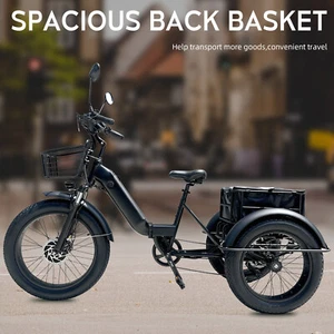 Kristall EX400 48V Electric Trike Tricycle 3 Wheeler Cycle Power Assist 1000W AU - Picture 1 of 13