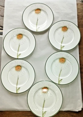 Flora 6 x Frühstücksteller 21,5 cm Margerite unbeschädigt, sehr stark gebraucht - Bild 1 von 4