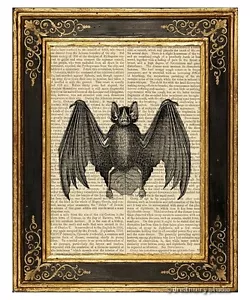 Murciélago #2 Impresión artística en página de libro vintage decoración de oficina en casa regalos colgantes de pared - Imagen 1 de 3