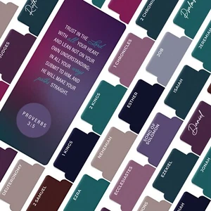 OFFILICIOUS 100 Soft-Touch, Laminated Bible Book Tabs for Bible Study - Picture 1 of 10