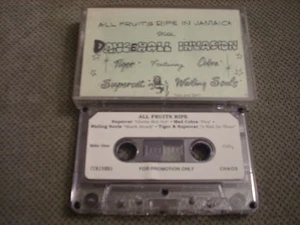 RARE PROMO All Fruits Ripe in Jamaica CASSETTE TAPE Dancehall '92 Wailing Souls - Picture 1 of 2