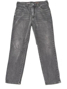 Pantalones de mezclilla Anthropologie Pilcro The Borrowed Boyfriend talla 26 gris lavado desgastado - Imagen 1 de 10