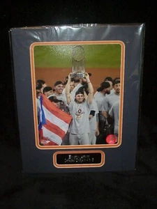 Houston Astros WS Champs Matted Photo / Name Plate 11x14 Ready for Framing A/82 - Picture 1 of 1